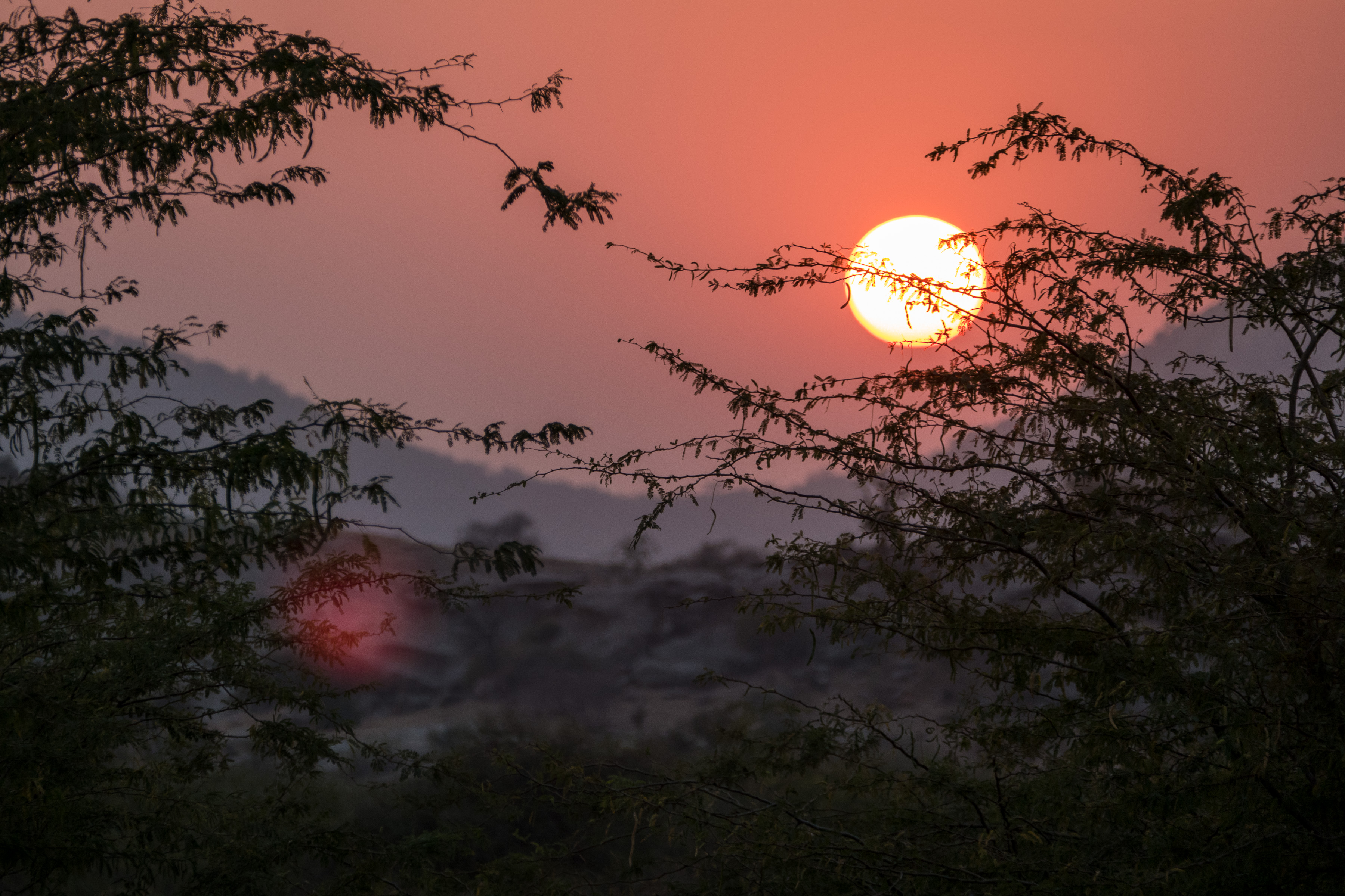 Bera Safari Lodge